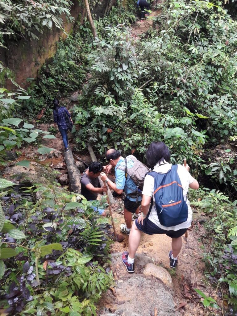 Tour bukit lawang